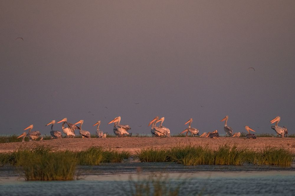 Photograph by Полякова Наталия