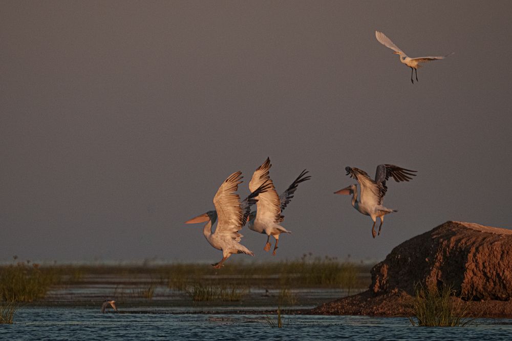 Photograph by Полякова Наталия