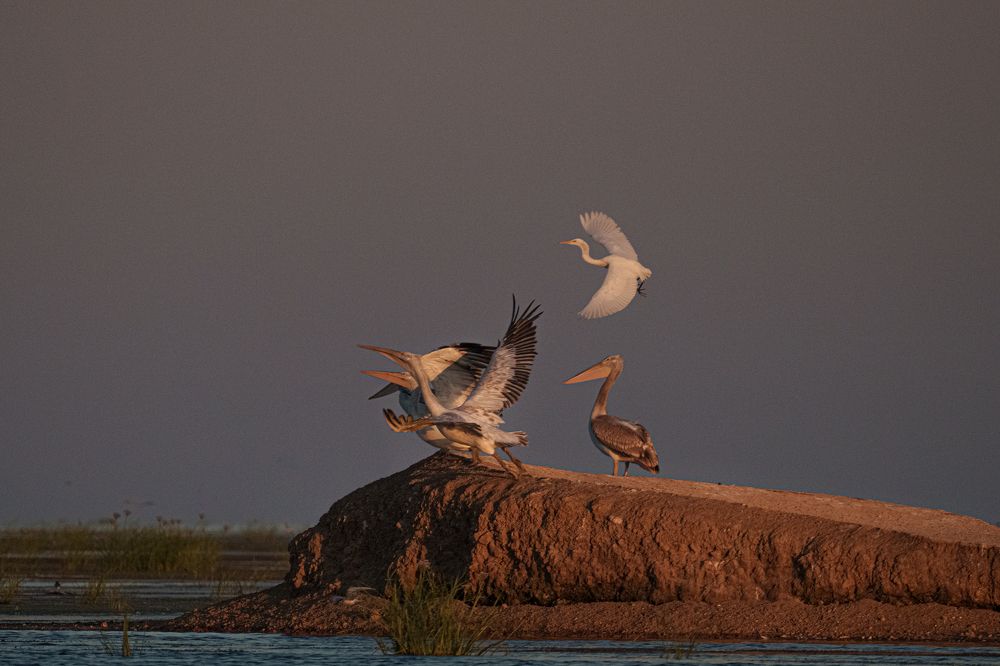 Photograph by Полякова Наталия