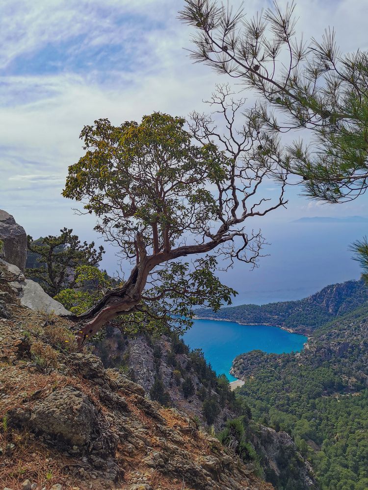 Photograph by Valensia Ludus