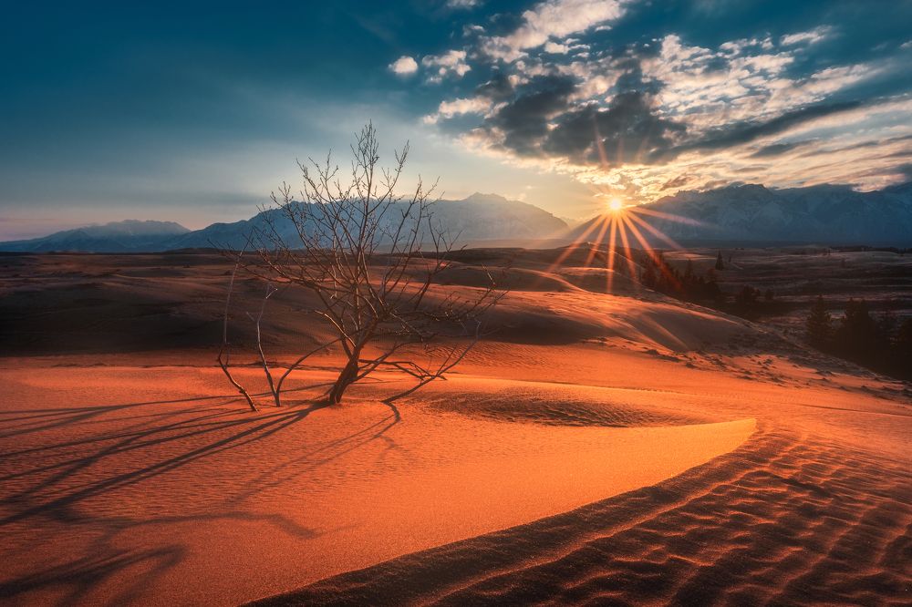 Photograph by Полякова Наталия