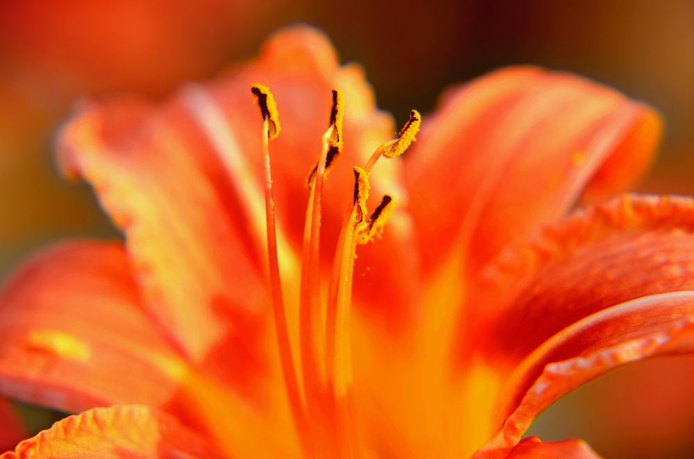 Photograph by Наталья Иванова