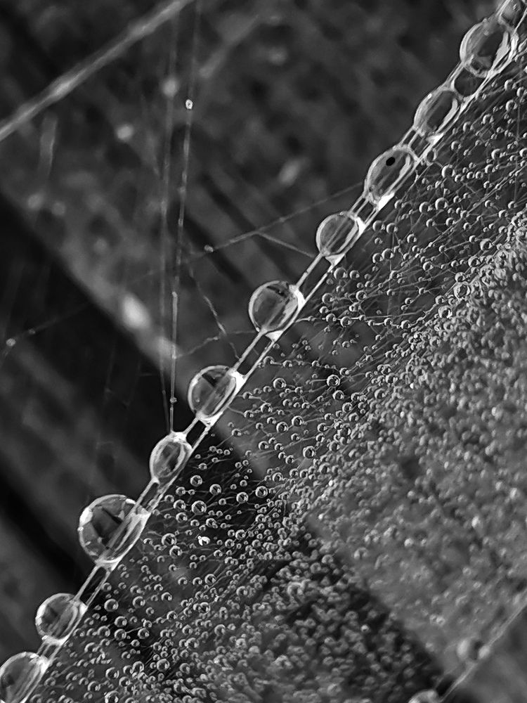 Фотография автора Татьяна Егорова