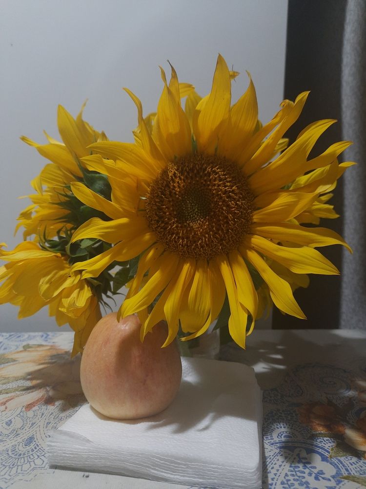 Photograph by Анна Ершова