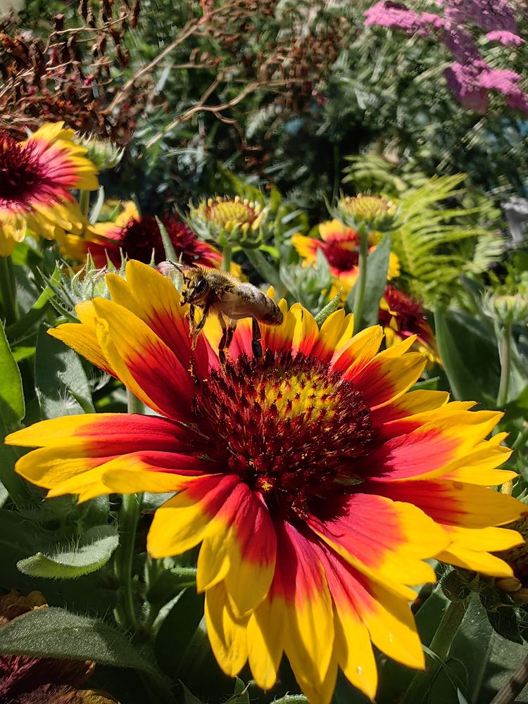 Photograph by Людмила Савчук