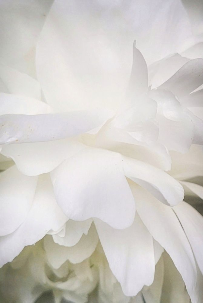 Photograph by Catherine