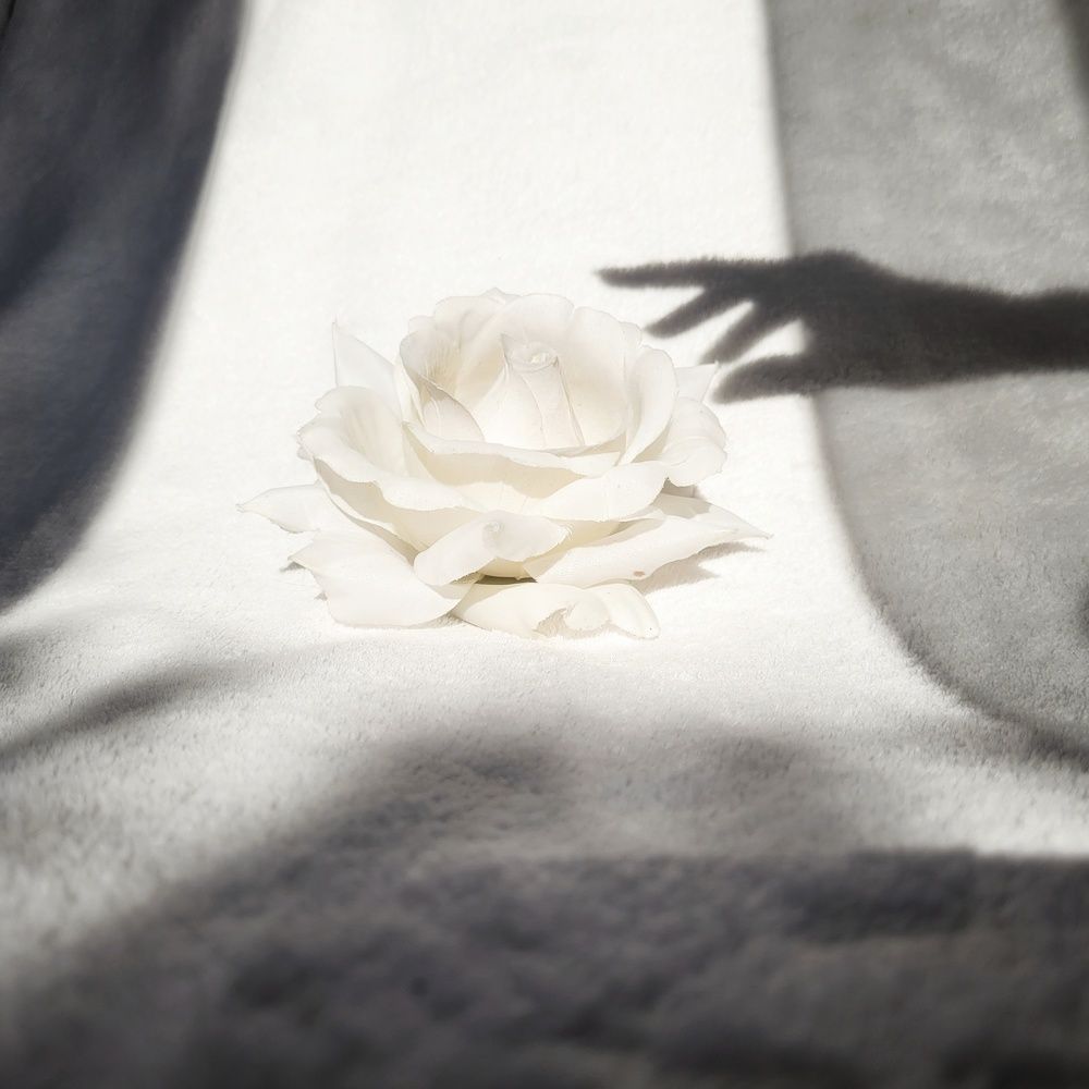 Photograph by Catherine