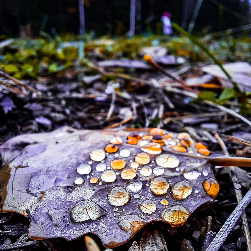 Photograph by Роман Бабин