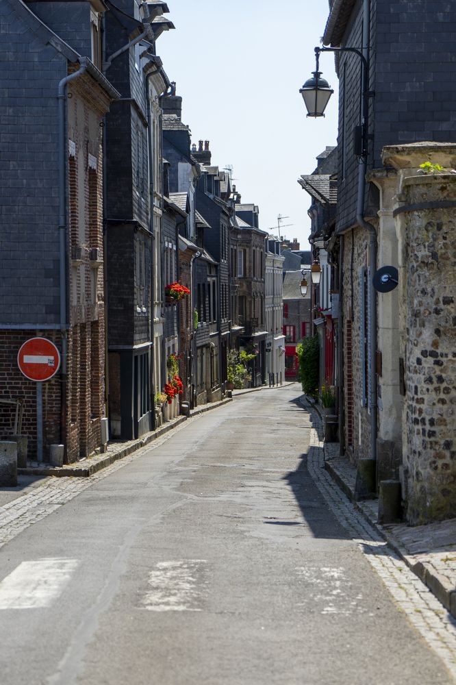 Фотография автора Ирина Зайцева