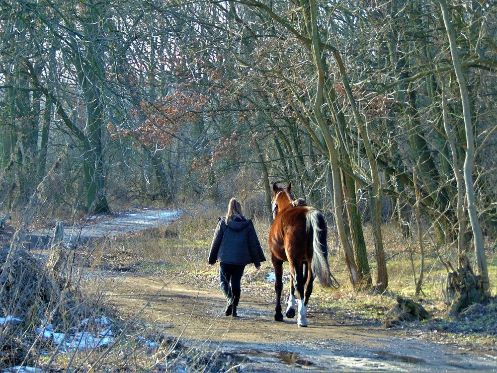 Photograph by Светлана Баяхчева (Тушавина)