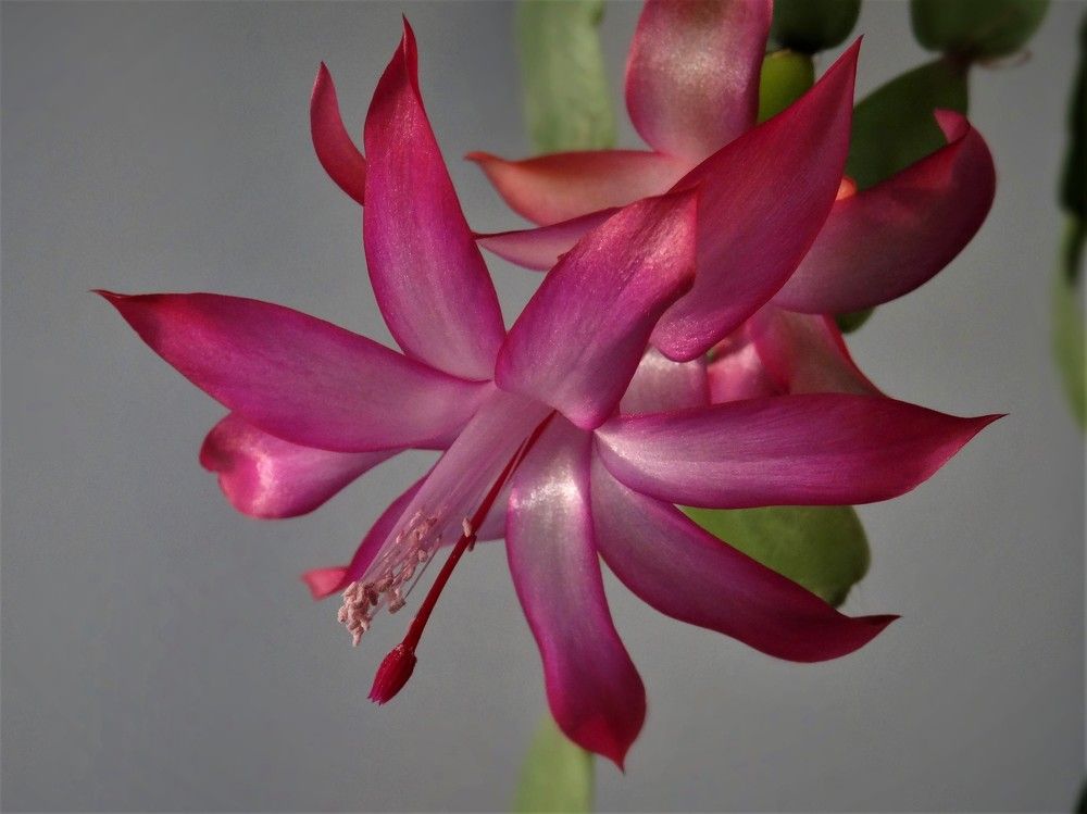 Photograph by Марина Раткун