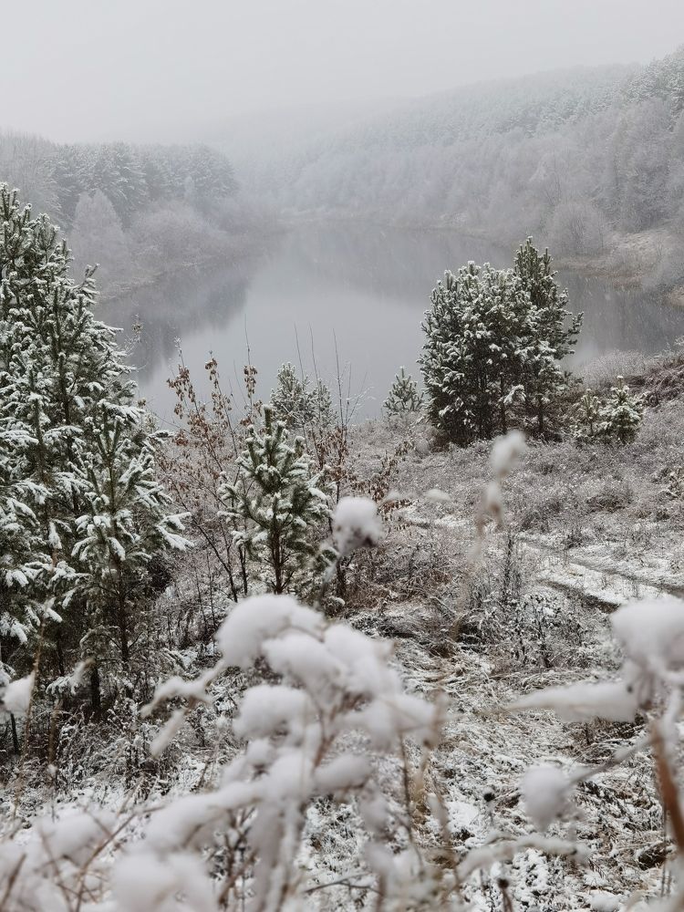 Photograph by Инна