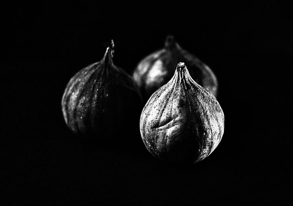 Photograph by Елена Ковалева