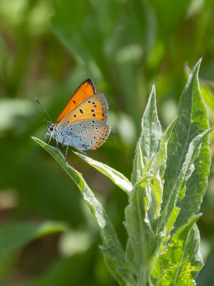 Photograph by Елена Морозова