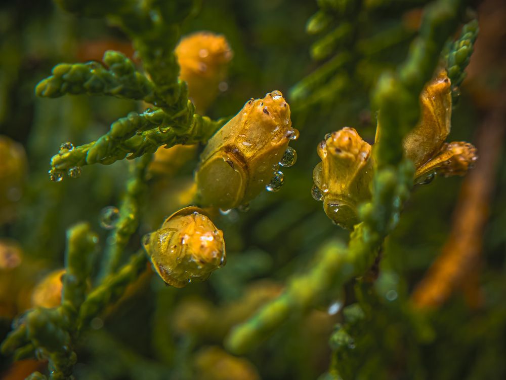 Photograph by Konstantin Martynov