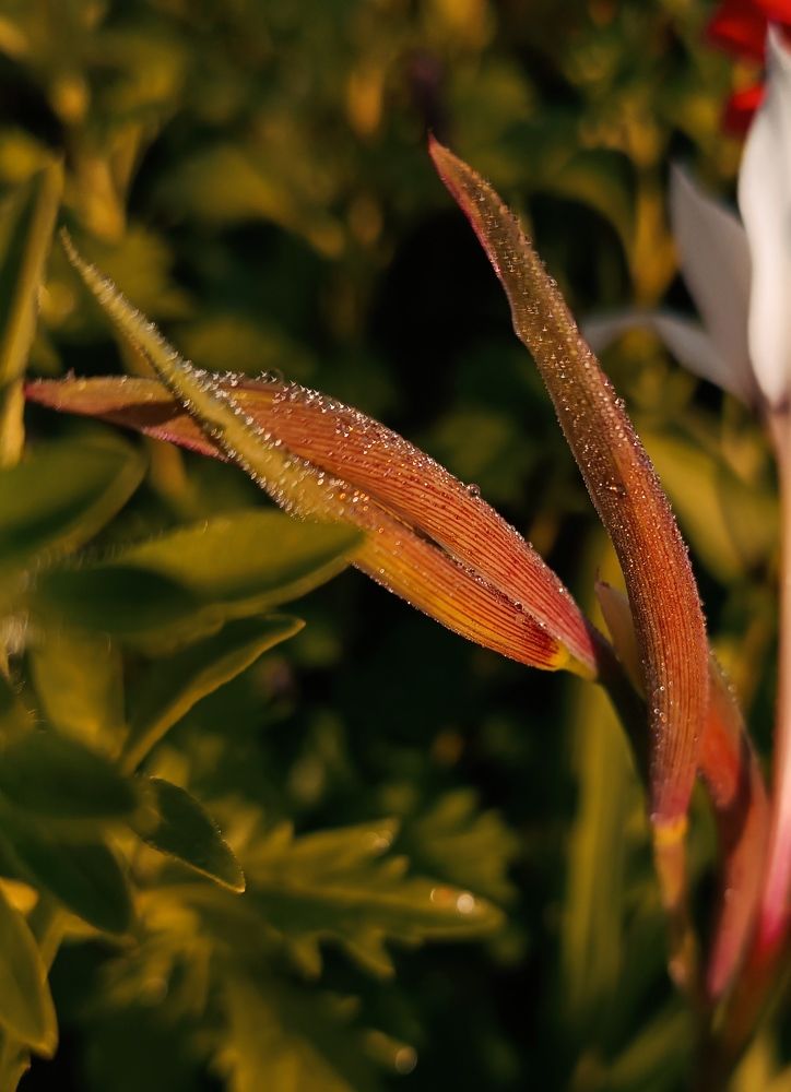 Photograph by Olga Kot