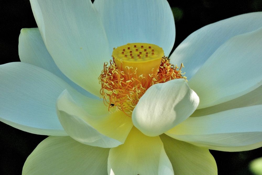 Photograph by backareva irina