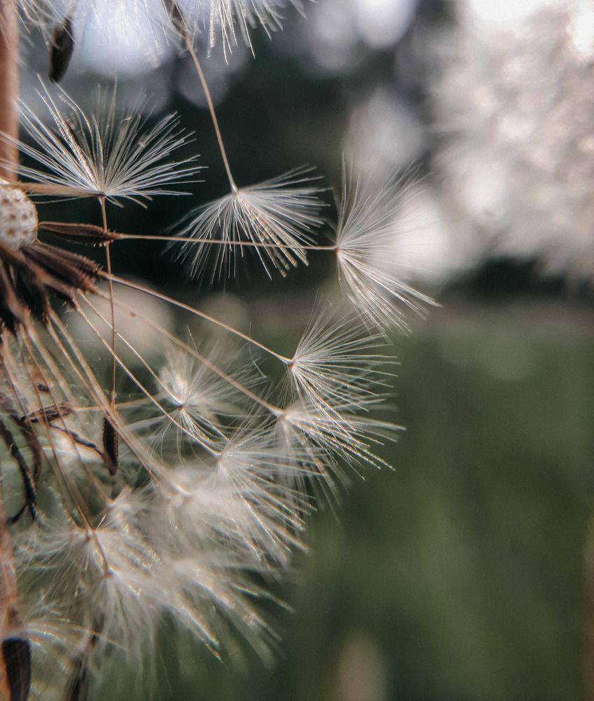 Photograph by Алия Латыйпова