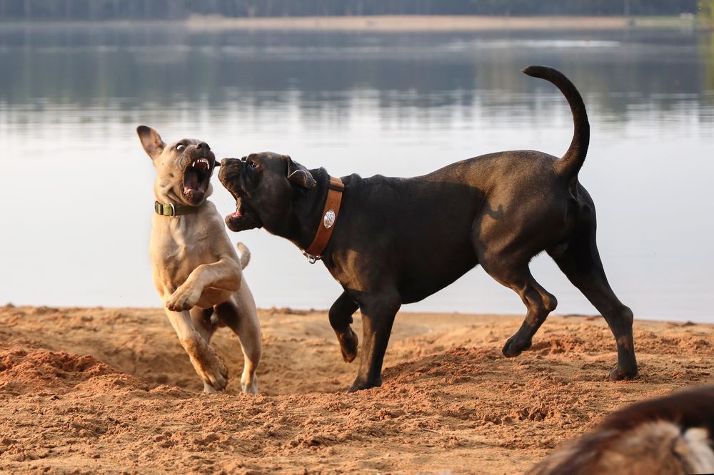 Photograph by Наталья Суслова