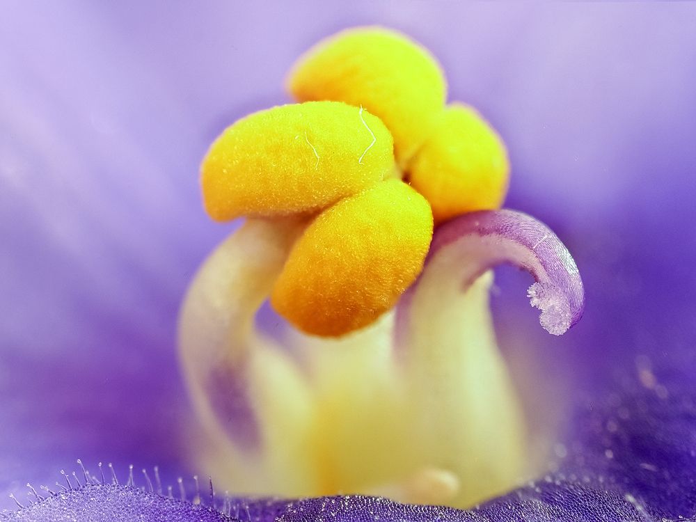 Photograph by Денис Иванов