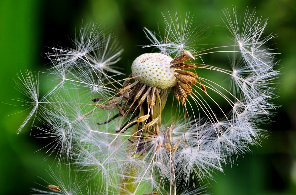 Photograph by Илфир Исламгазин