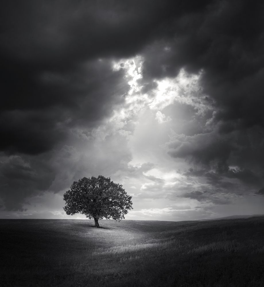 Photograph by Бирюкова Татьяна