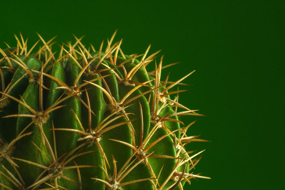 Фотография автора Валерий Елистратов