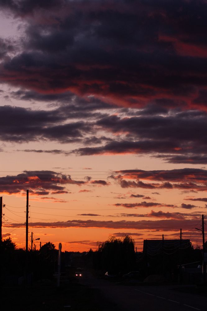 Фотография автора Софья Алексеева
