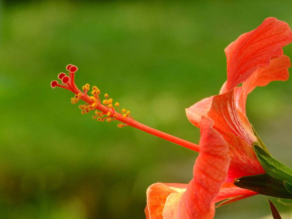 Photograph by Cengiz Yalcin