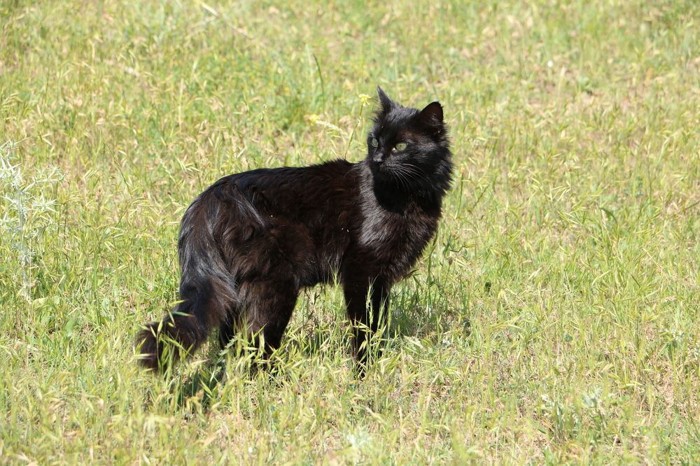 Photograph by Cengiz Yalcin