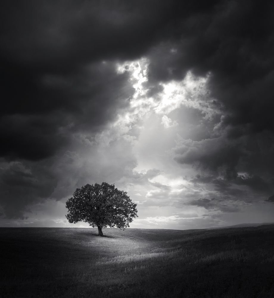 Photograph by Бирюкова Татьяна