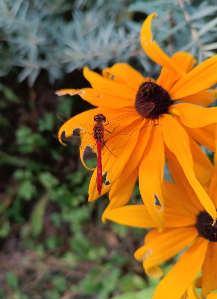 Photograph by Olga Kot