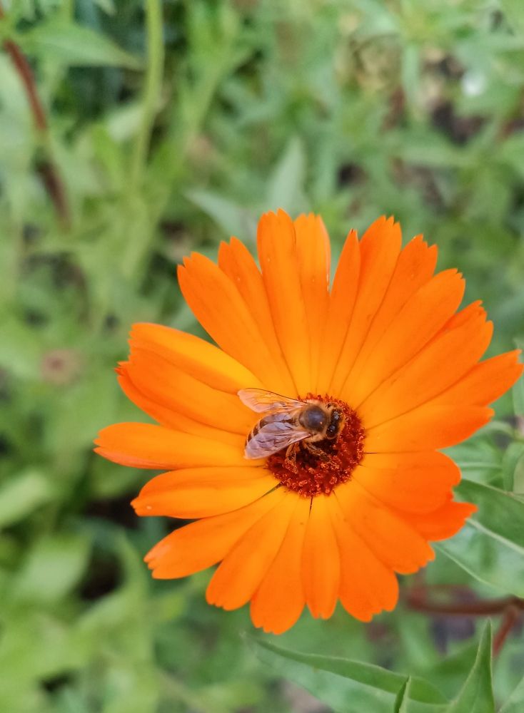 Photograph by Olga Kot