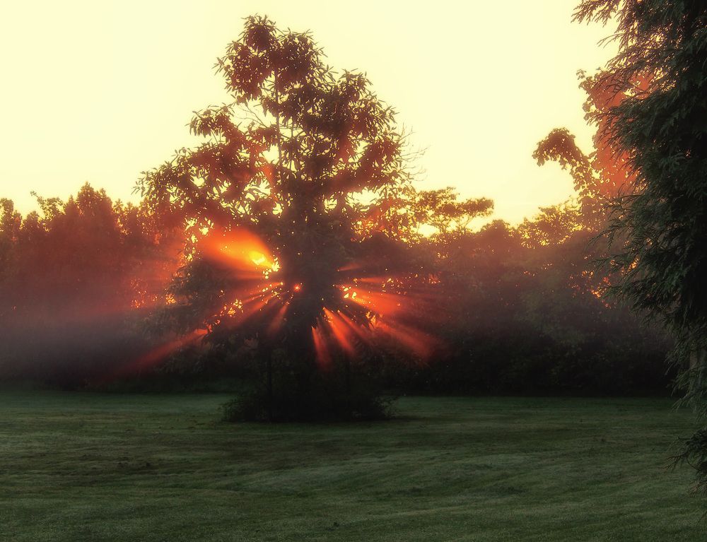 Фотография автора Александр