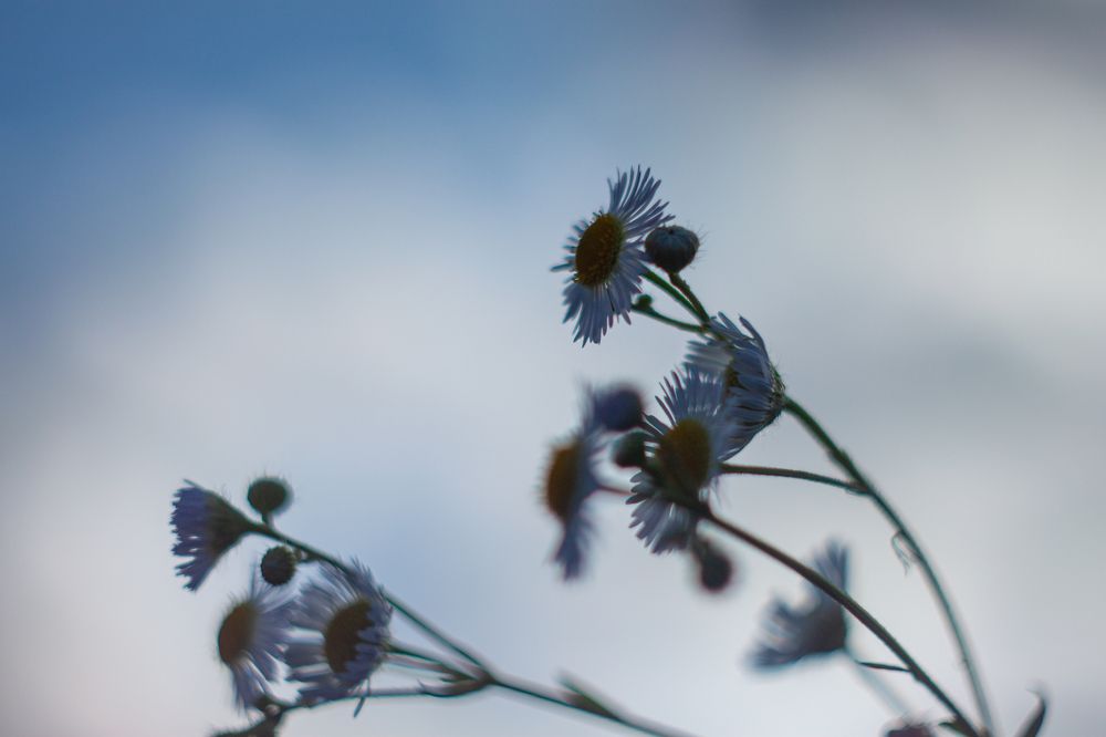 Photograph by Владислав Капанов