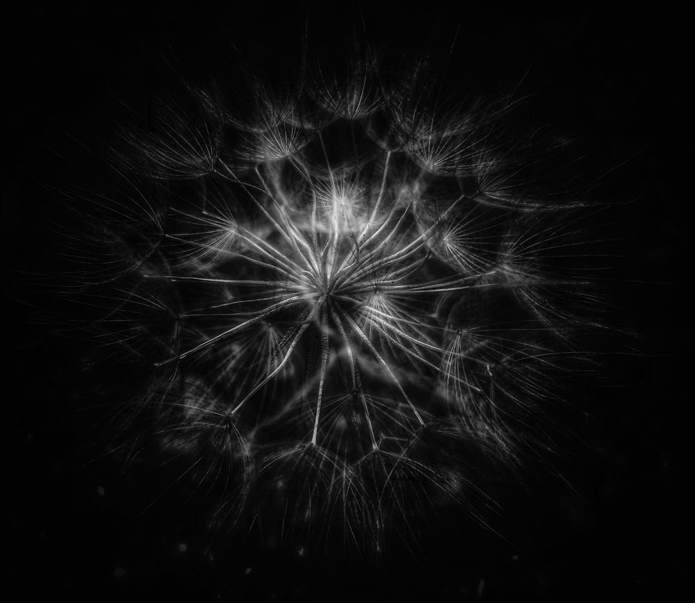 В черной комнате