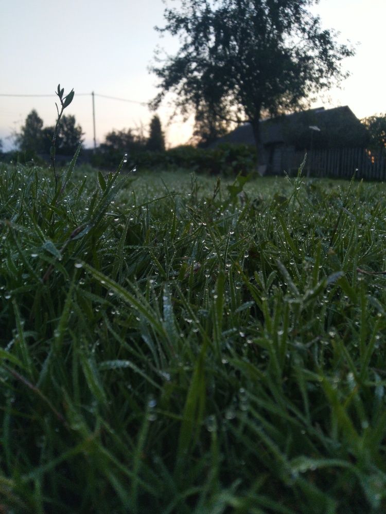 Photograph by Павел Лосев