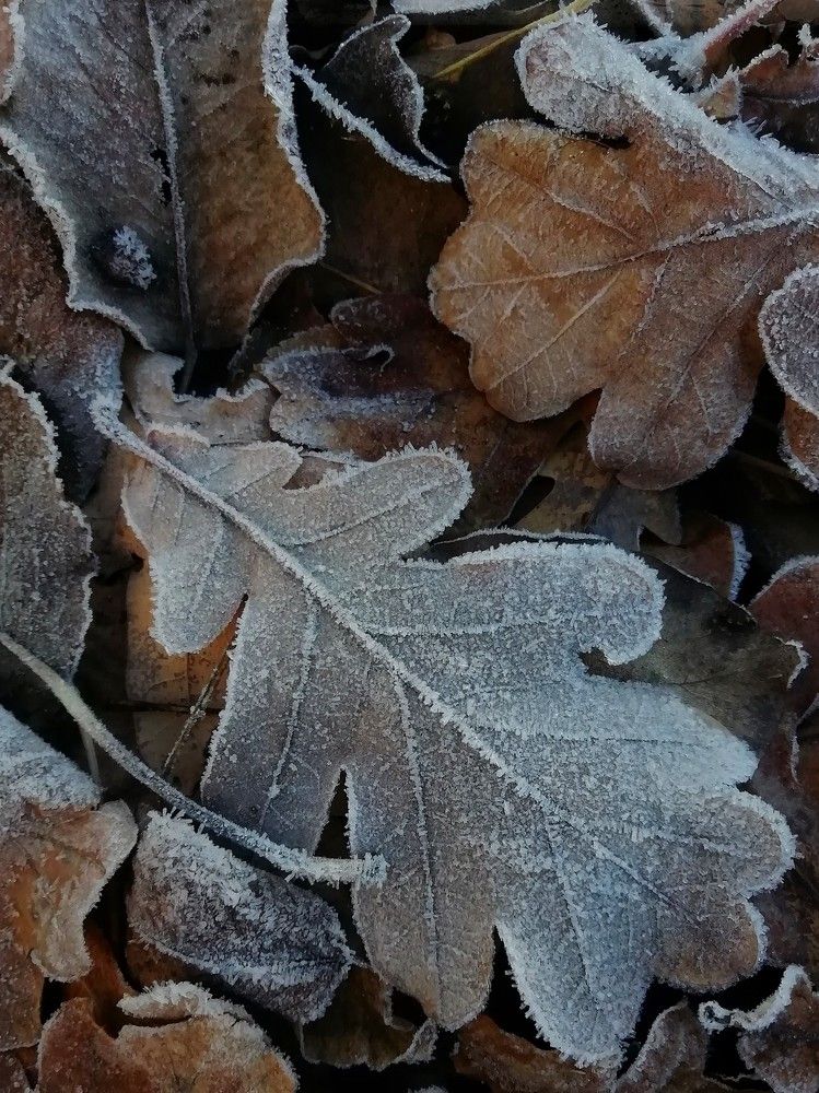 Photograph by Екатерина Чижевская