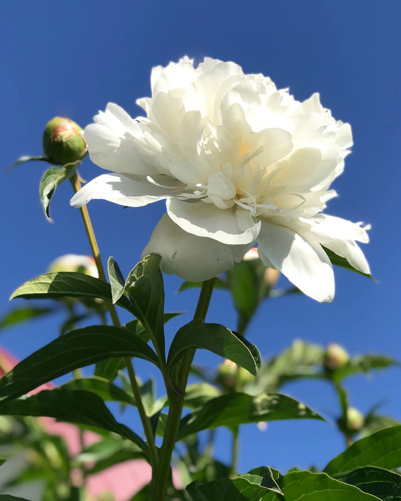 Photograph by Татьяна Волохова