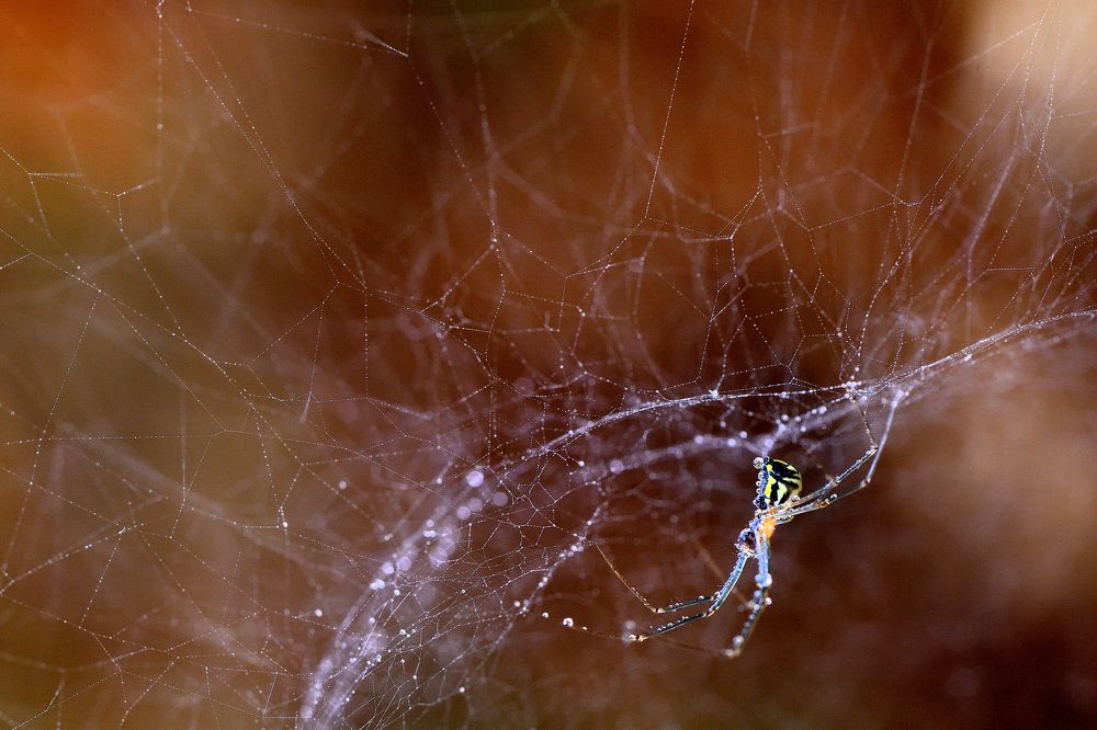 Photograph by Pepe Badia Marrero