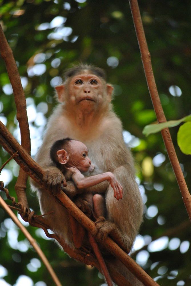 Фотография автора Алексей Самойлов