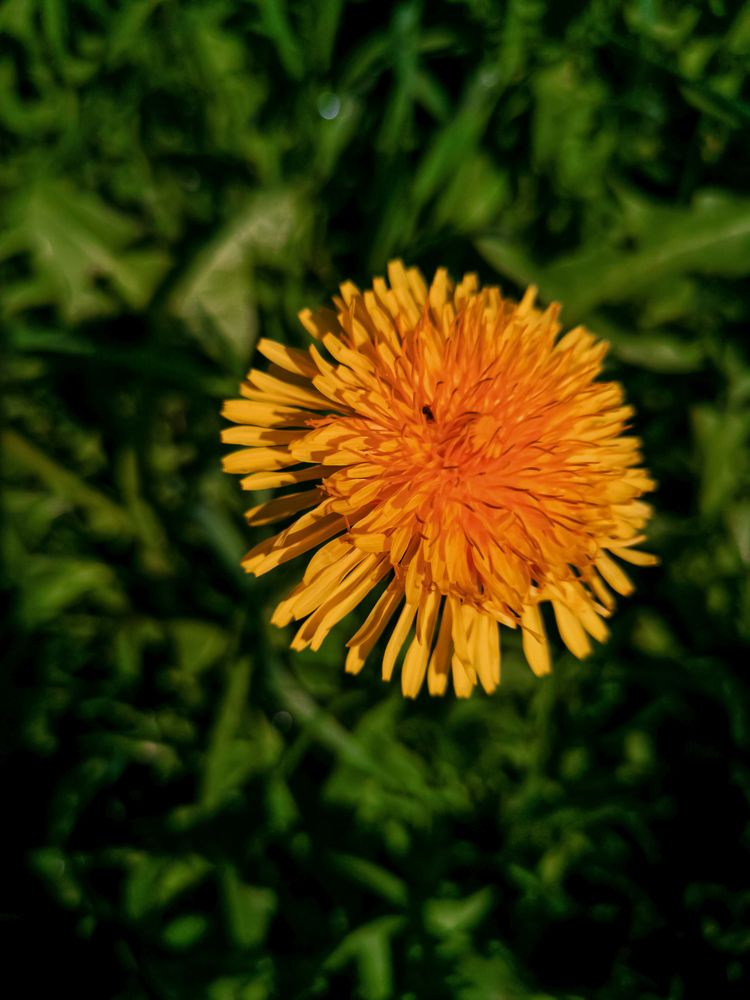 Photograph by Виктория Федосеенко