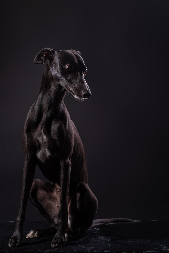 Photograph by наталья залогина