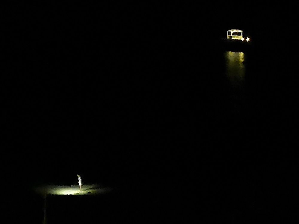 Photograph by Михаил Янкин