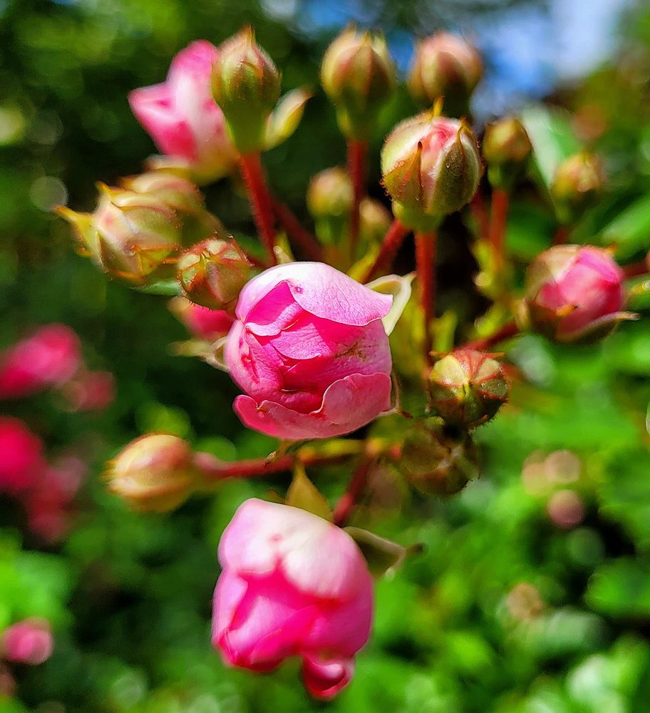 Photograph by Oksana Sabeleva