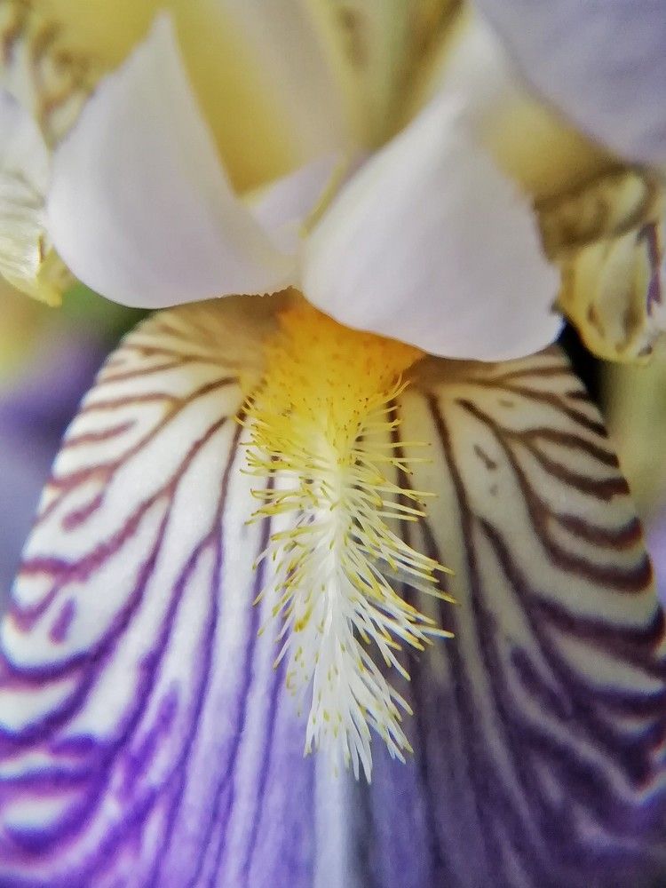 Photograph by Екатерина Чижевская