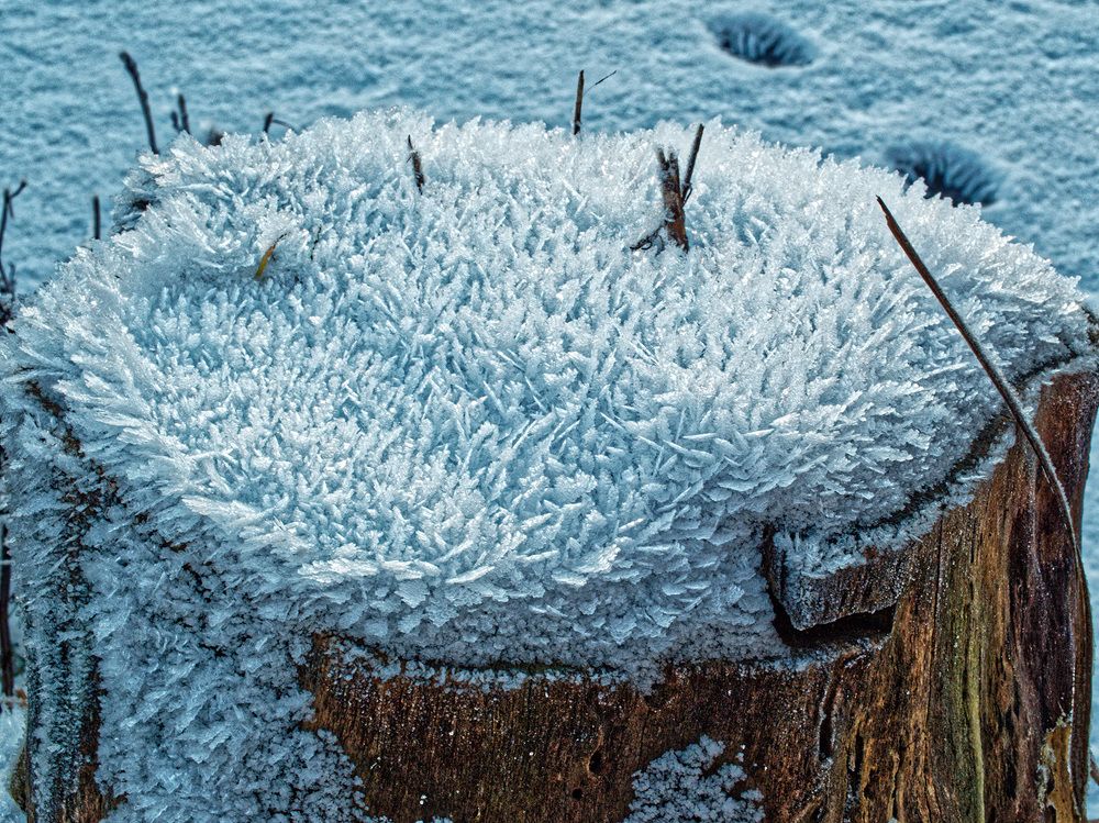 Photograph by Павел Кулинич