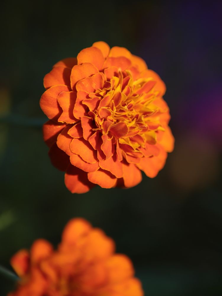 Photograph by Анастасия Рабочева