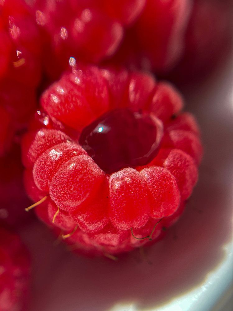 Фотография автора Nastasya Sablina