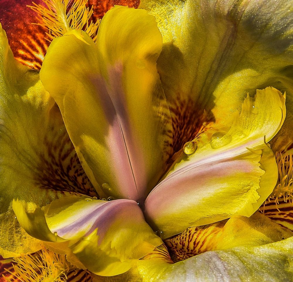 Photograph by Виктор Рыков